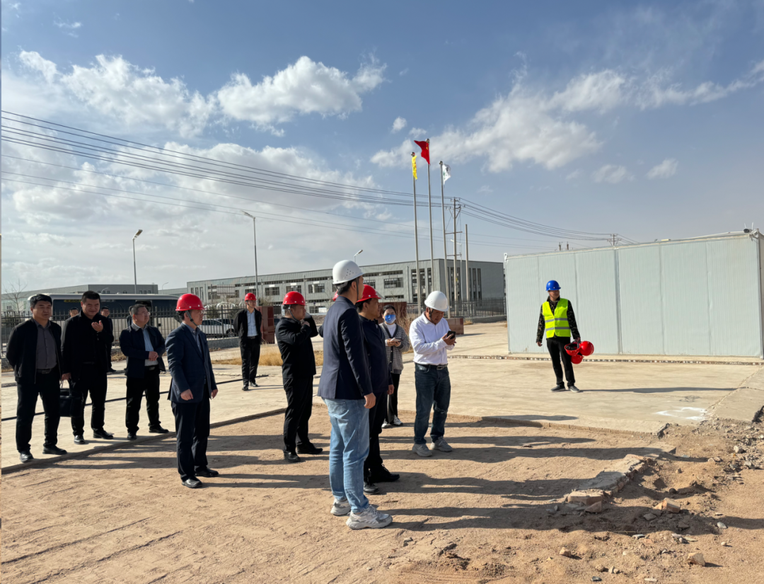 全力复工！金昌市委副书记、市长王方太一行调研金昌致信项目